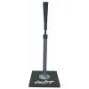 Rawlings Pro Model Batting Tee (PROTEE)