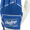 Rawlings WH22BG Workhorse Baseball