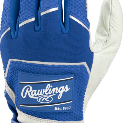 Rawlings WH22BG Workhorse Baseball