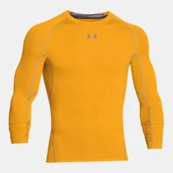 Under Armour Heatgear Longsleeve Tees (1257471)